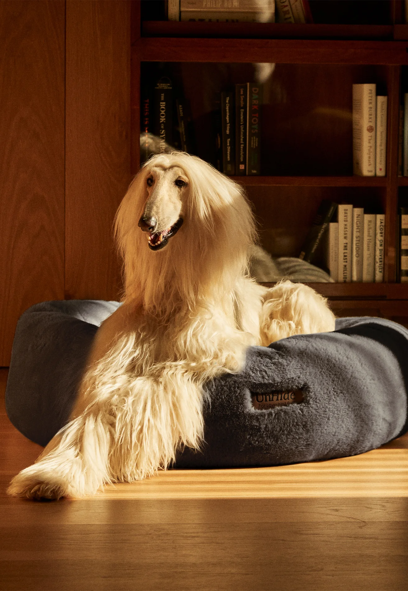 Floof Donut Pet Bed - Image 13