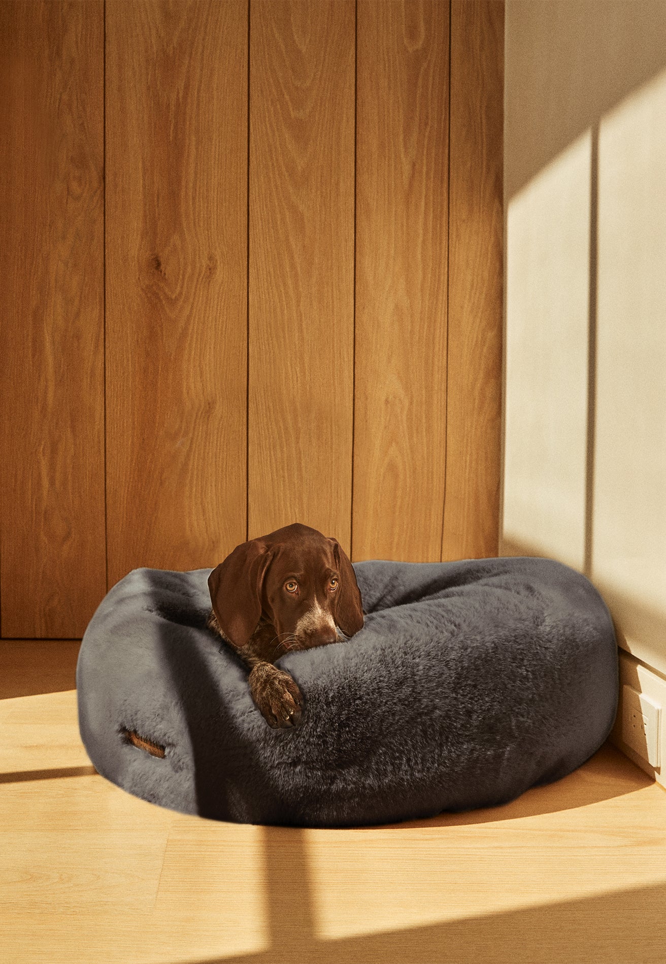 Floof Donut Pet Bed - Image 17