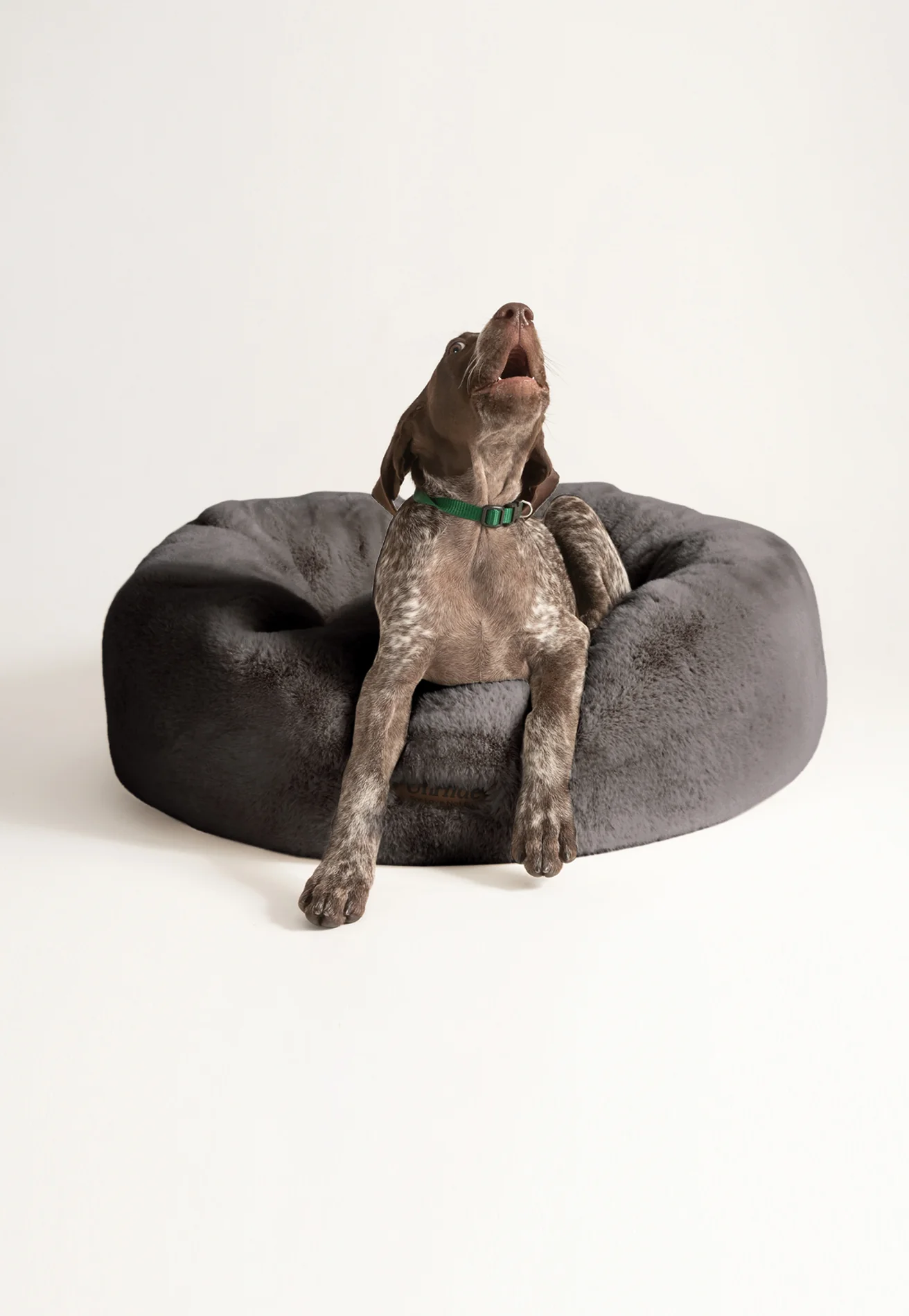 Floof Donut Pet Bed - Image 18