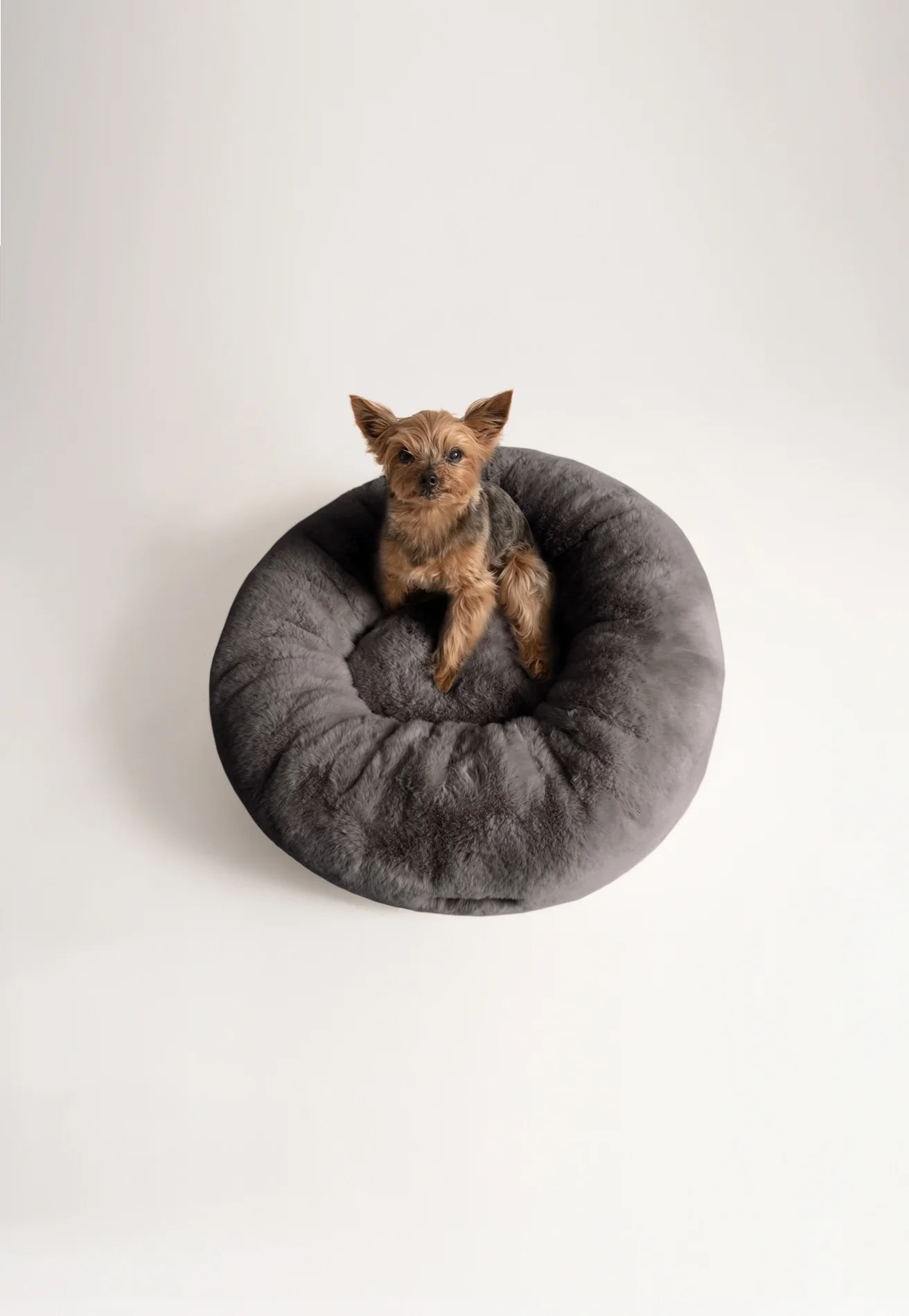 Floof Donut Pet Bed - Image 23