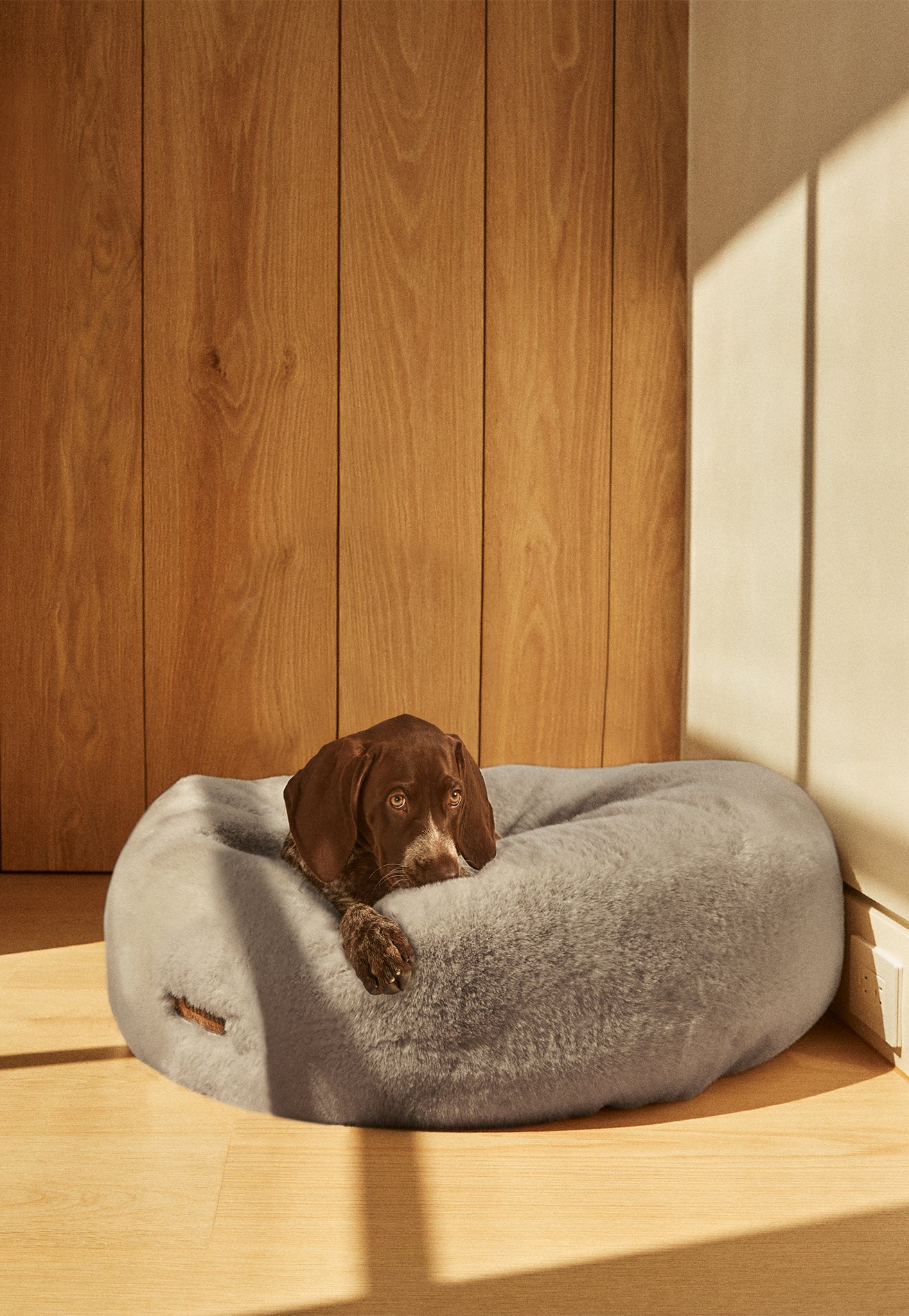 Floof Donut Pet Bed - Image 29
