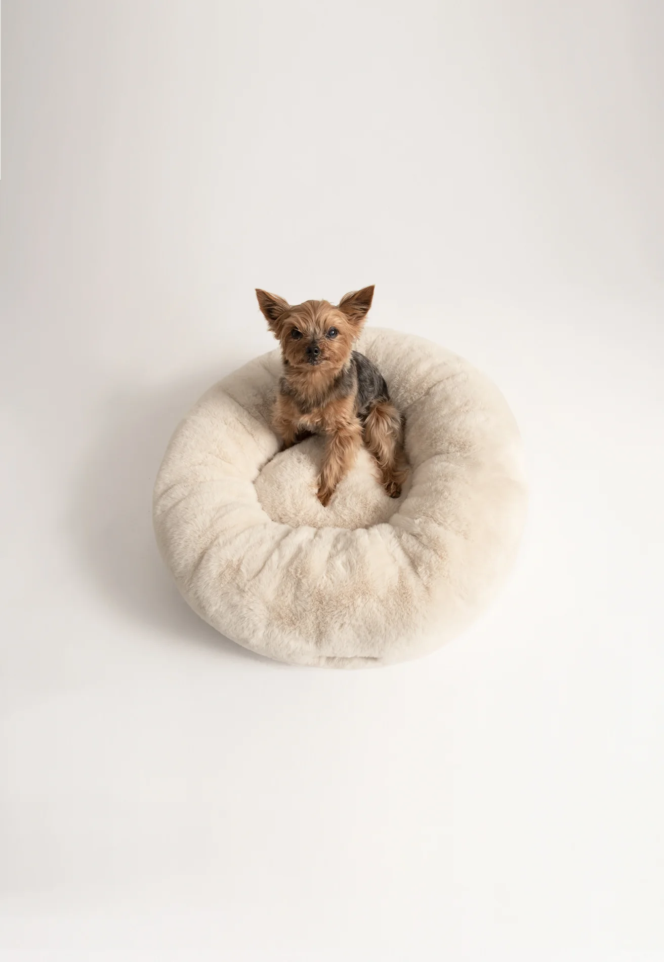 Floof Donut Pet Bed - Image 3