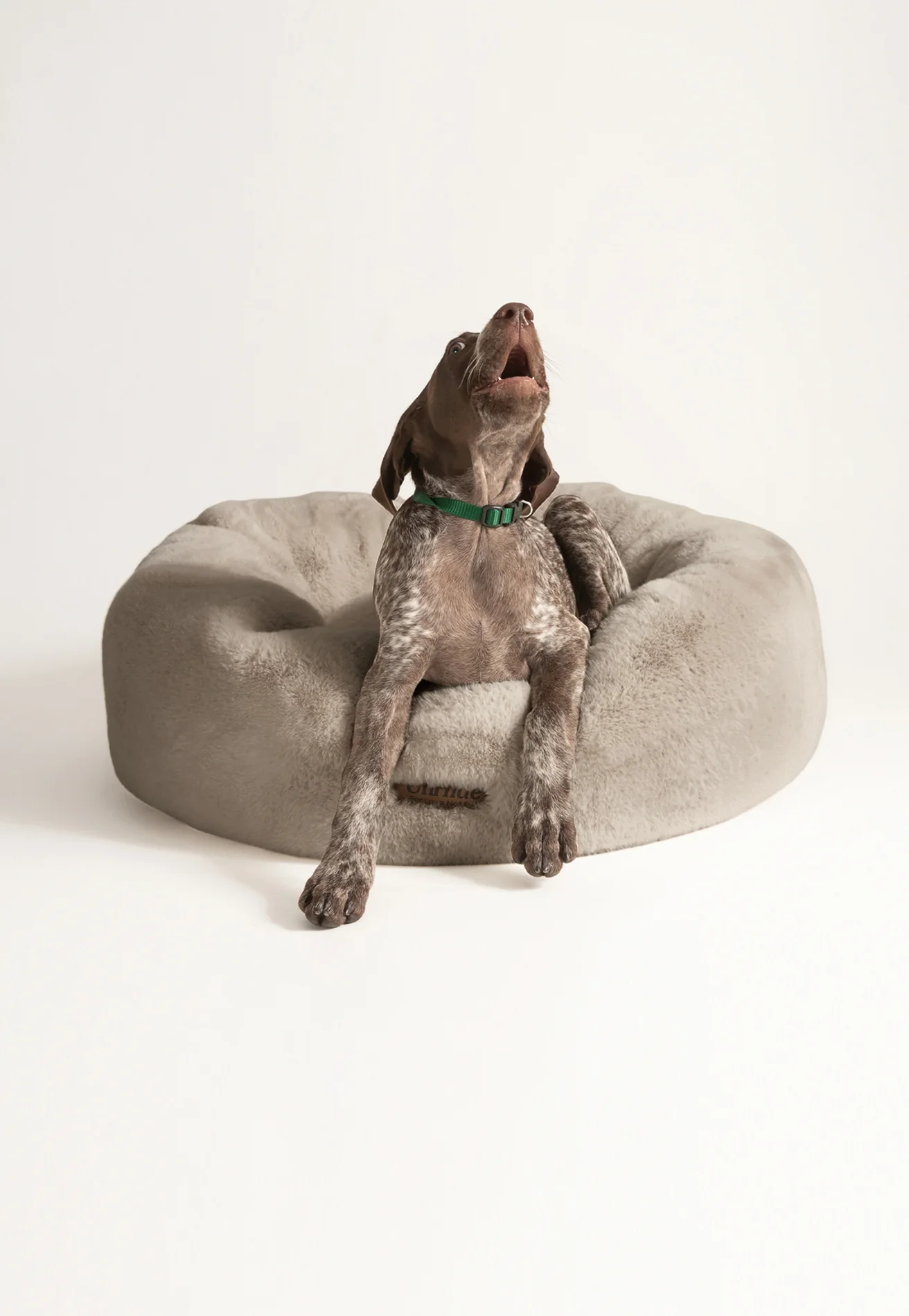 Floof Donut Pet Bed - Image 30