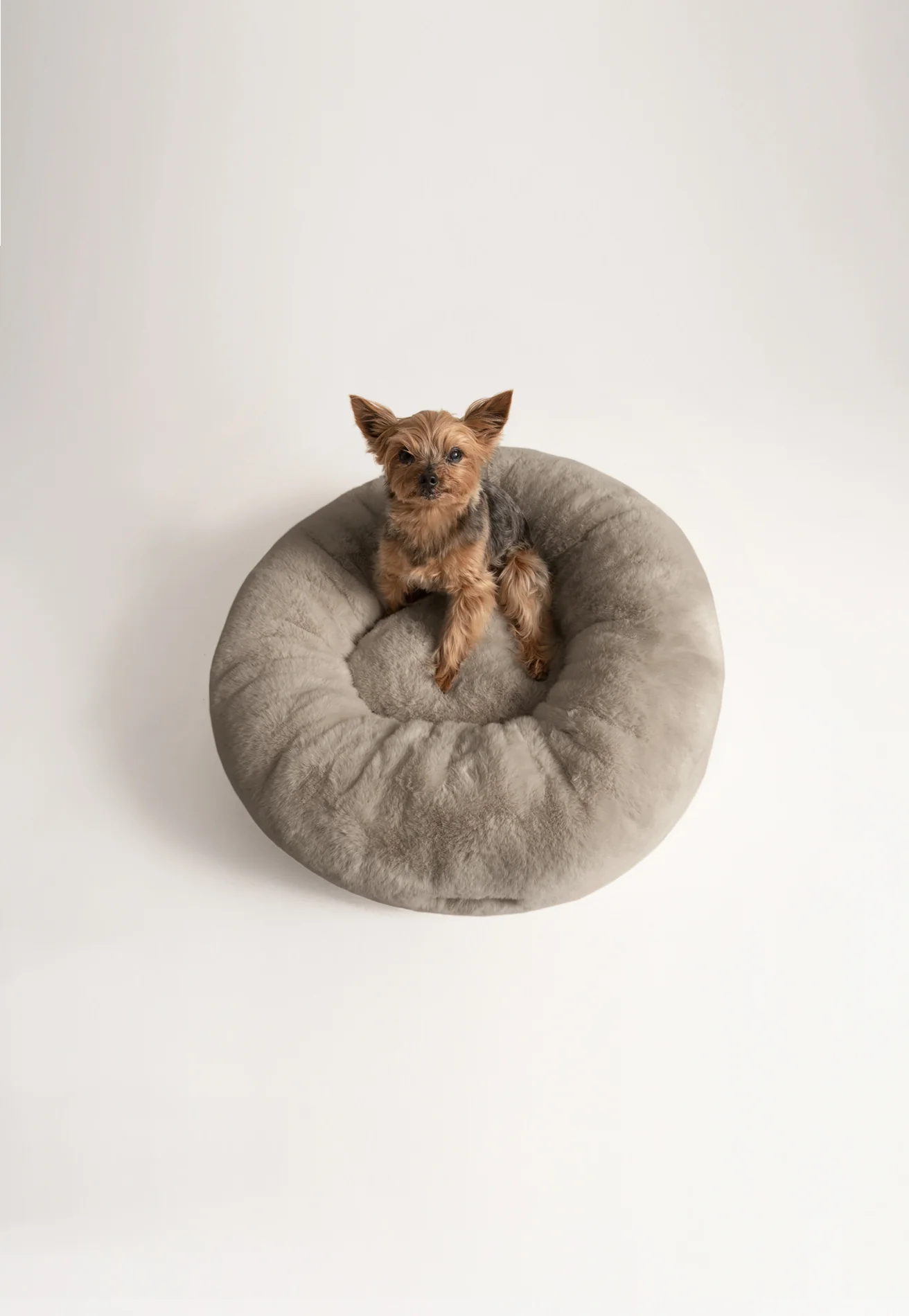 Floof Donut Pet Bed - Image 35