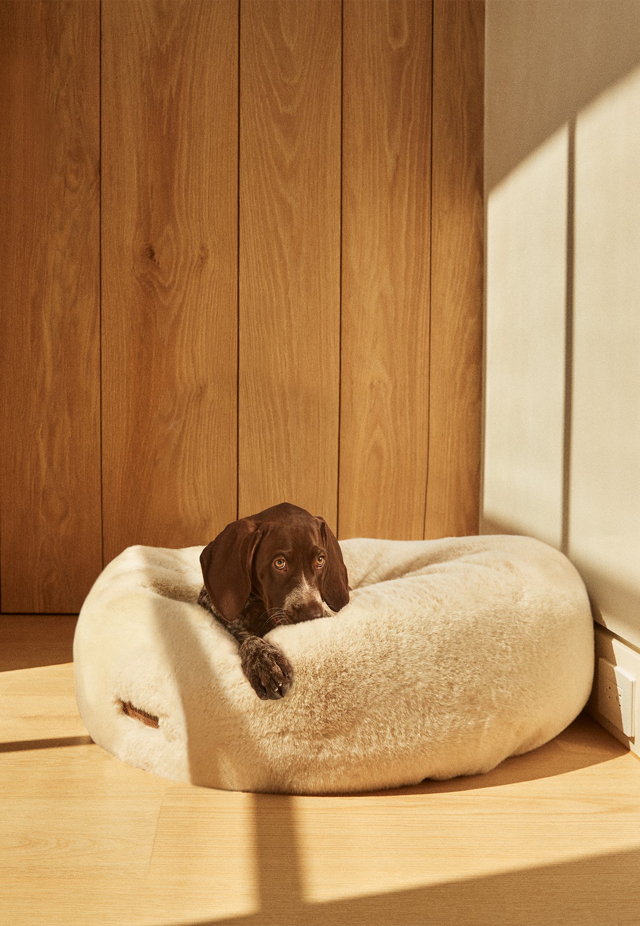 Floof Donut Pet Bed - Image 5