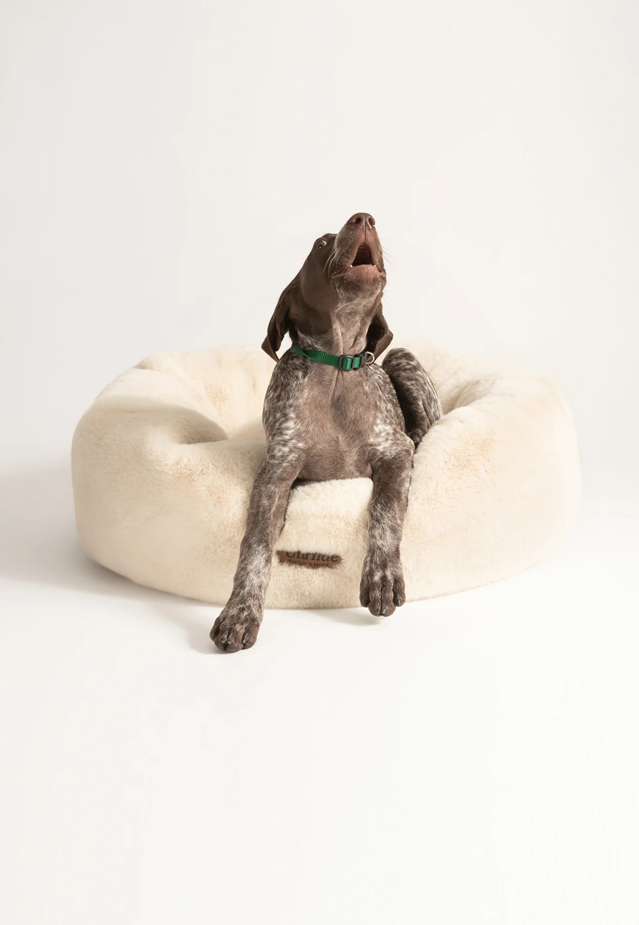 Floof Donut Pet Bed - Image 6