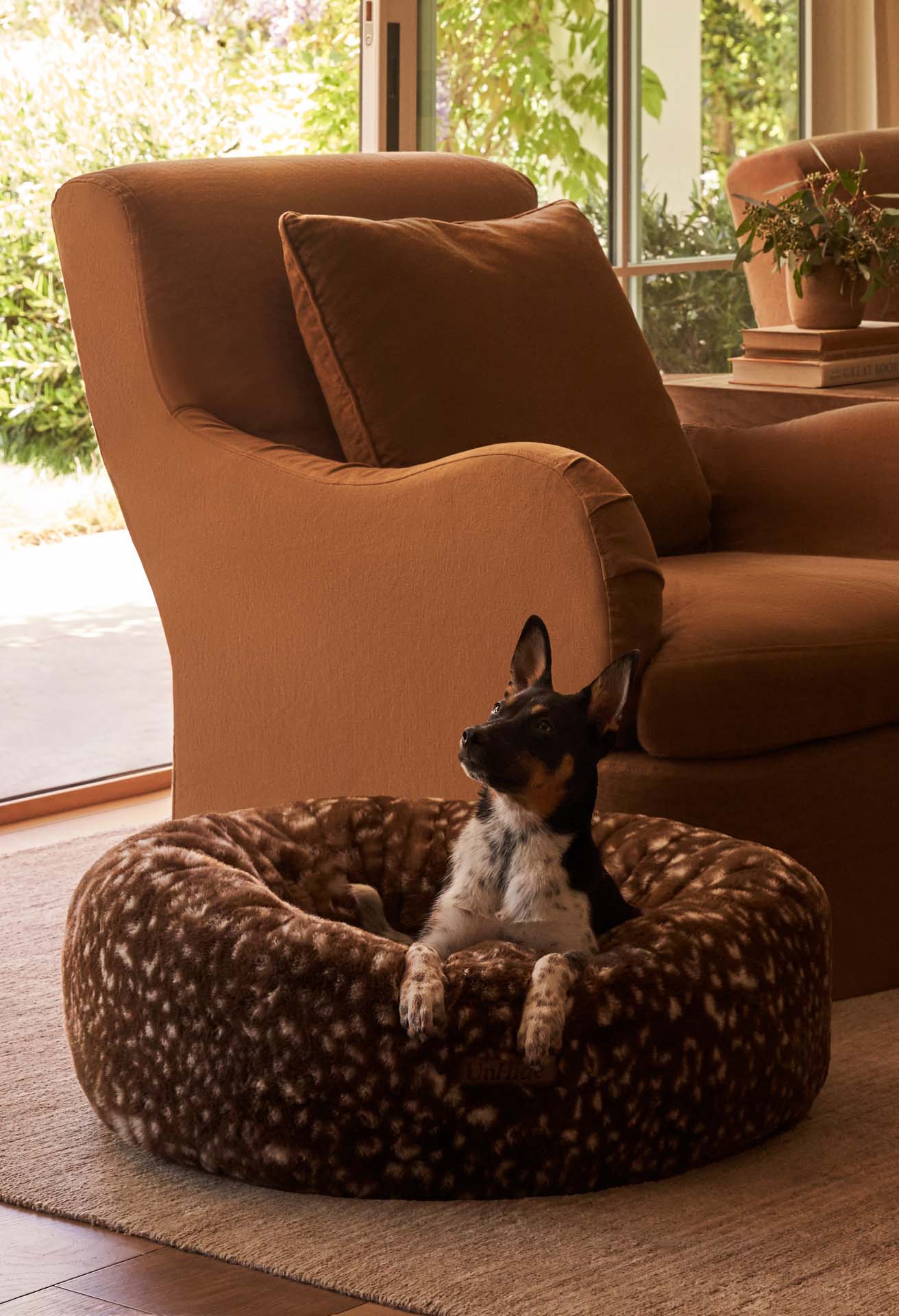 Floof Donut Pet Bed - Image 77
