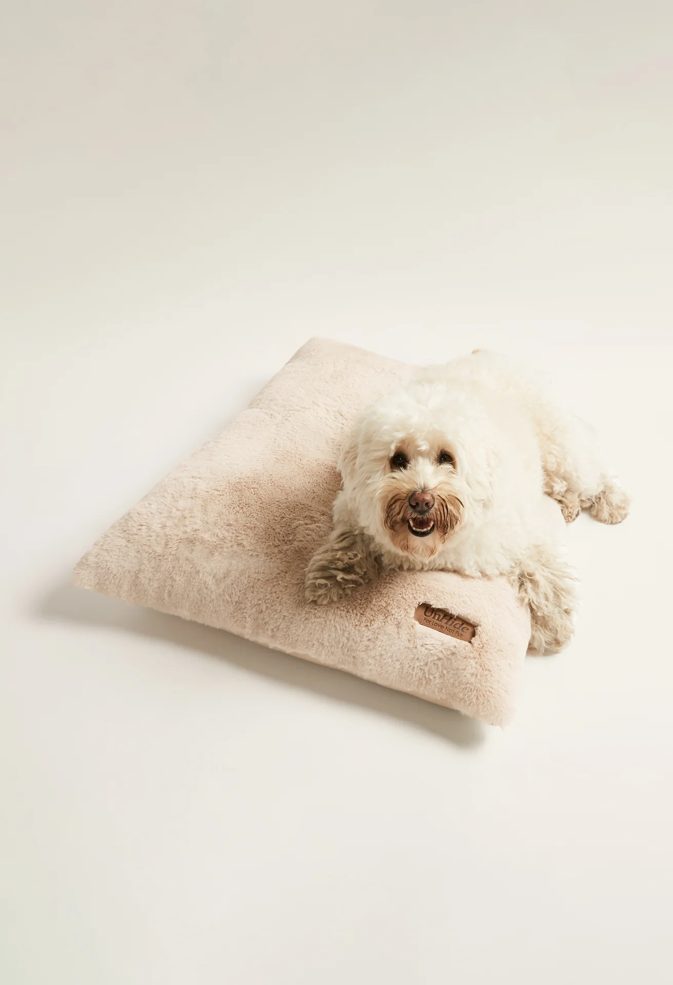 Floof Pillow Pet Bed - Image 12
