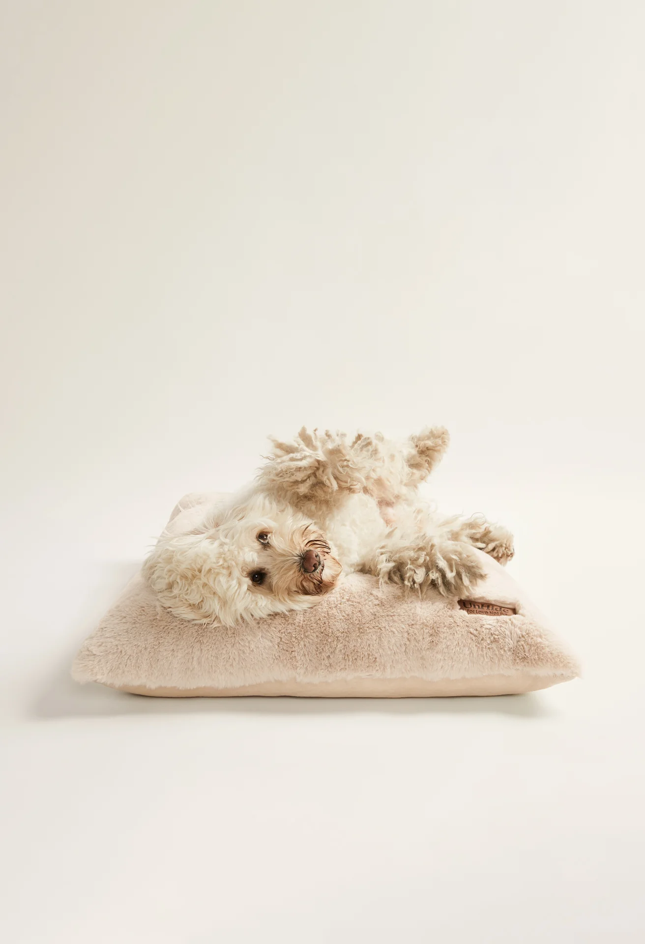 Floof Pillow Pet Bed - Image 6
