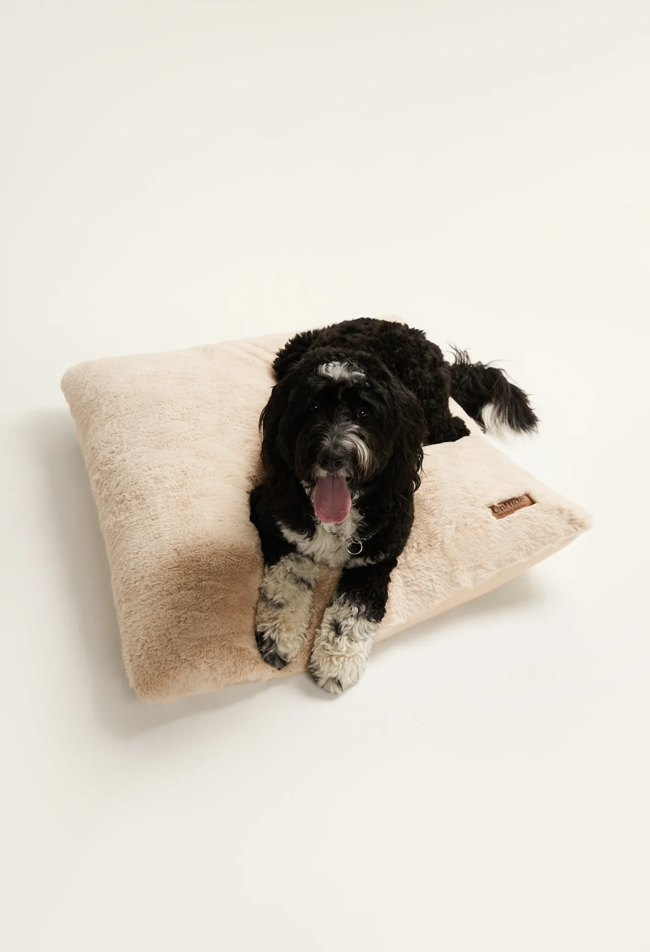 Floof Pillow Pet Bed - Image 8