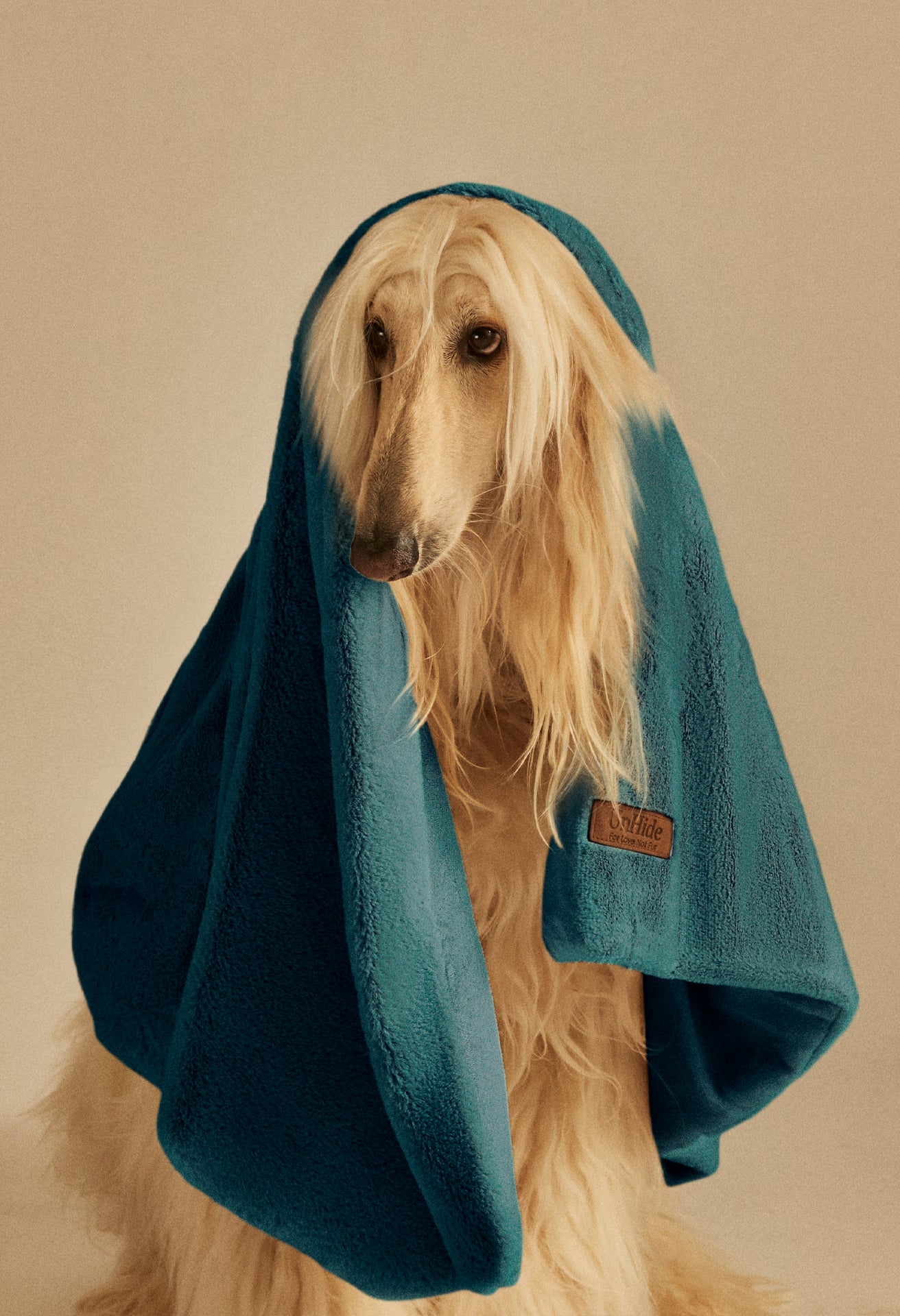 Lil' Marsh Pet Blanket - Image 19