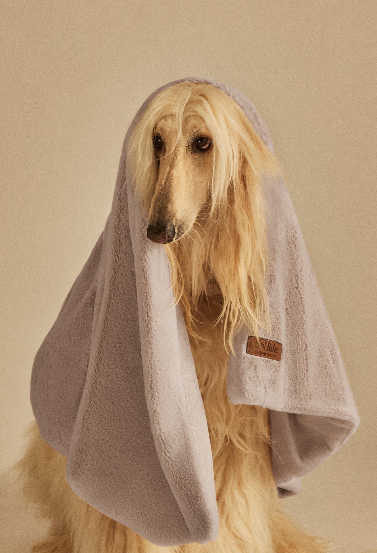 Lil' Marsh Pet Blanket - Image 23