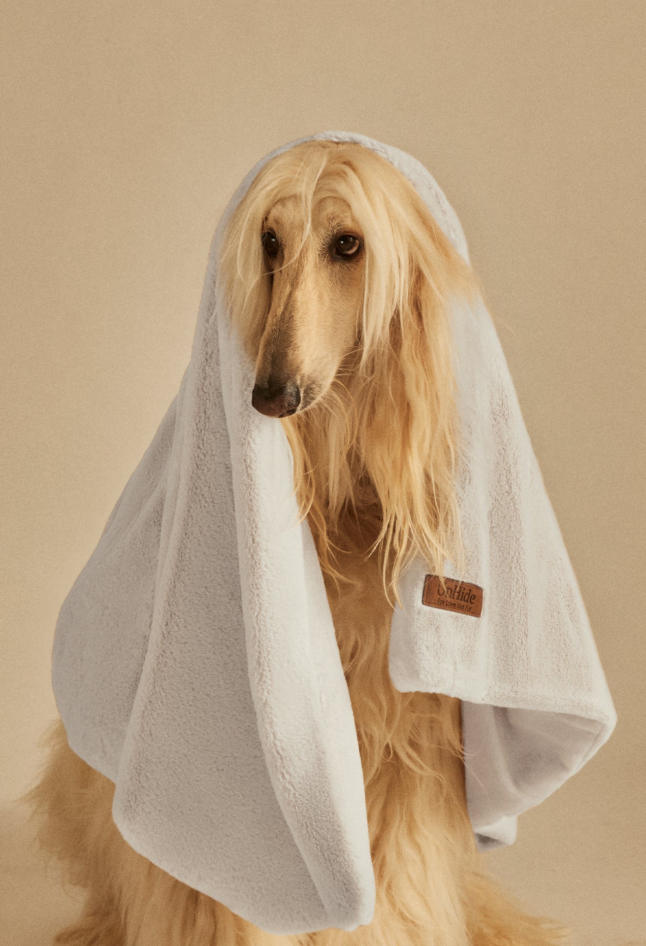 Lil' Marsh Pet Blanket - Image 31