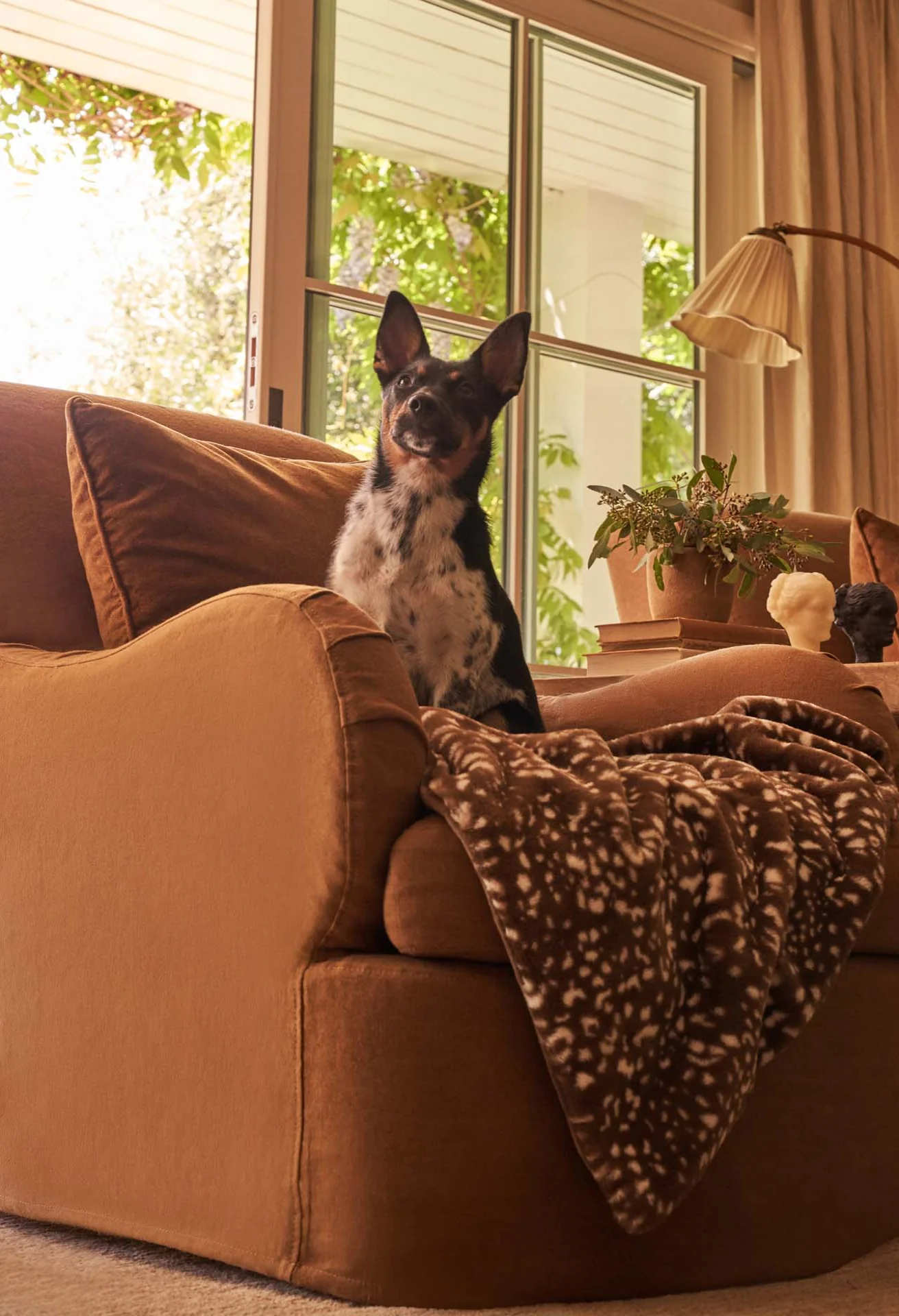 Lil' Marsh Pet Blanket - Image 54