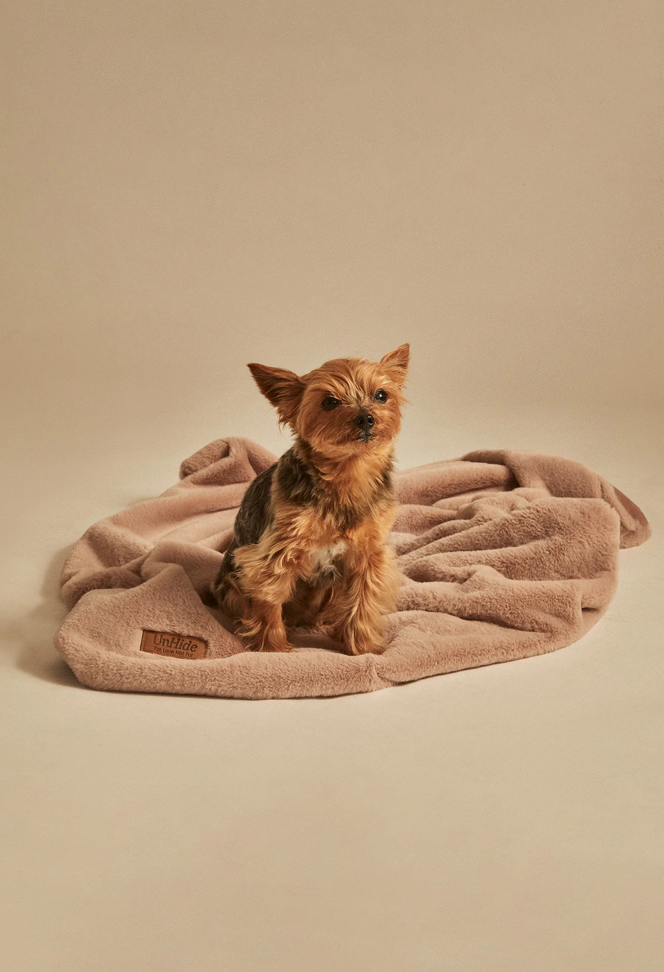 Lil' Marsh Pet Blanket - Image 6